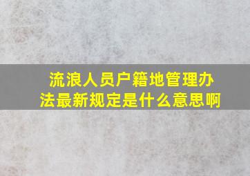 流浪人员户籍地管理办法最新规定是什么意思啊