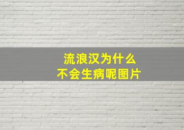 流浪汉为什么不会生病呢图片