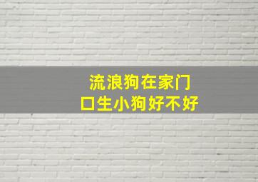 流浪狗在家门口生小狗好不好