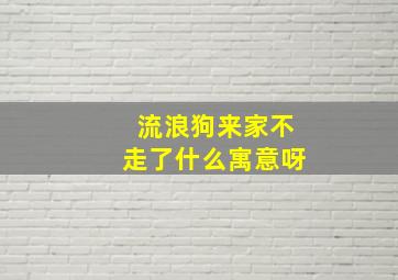 流浪狗来家不走了什么寓意呀