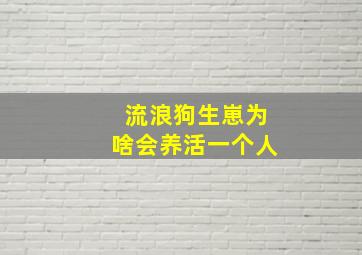 流浪狗生崽为啥会养活一个人