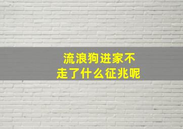 流浪狗进家不走了什么征兆呢