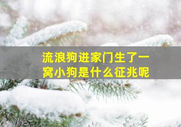 流浪狗进家门生了一窝小狗是什么征兆呢