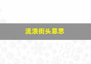 流浪街头意思