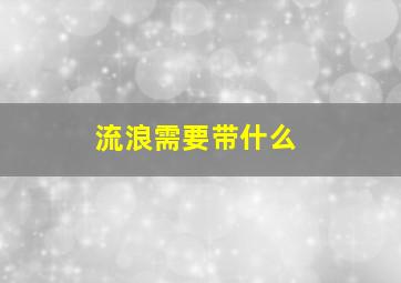 流浪需要带什么