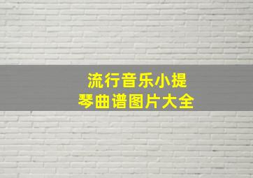 流行音乐小提琴曲谱图片大全