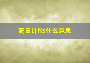 流量计fls什么意思