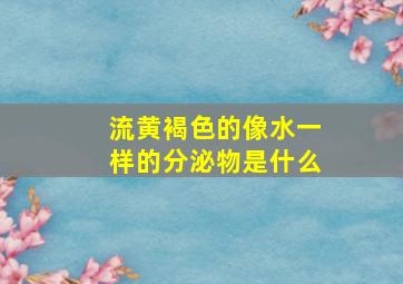 流黄褐色的像水一样的分泌物是什么