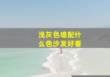 浅灰色墙配什么色沙发好看