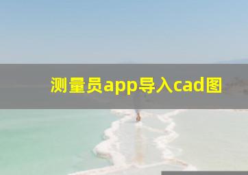 测量员app导入cad图