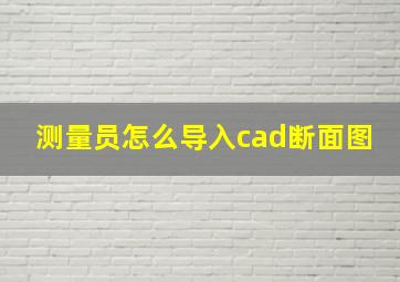 测量员怎么导入cad断面图