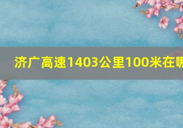 济广高速1403公里100米在哪