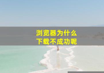 浏览器为什么下载不成功呢