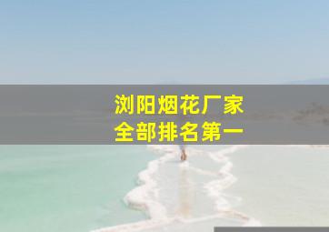 浏阳烟花厂家全部排名第一