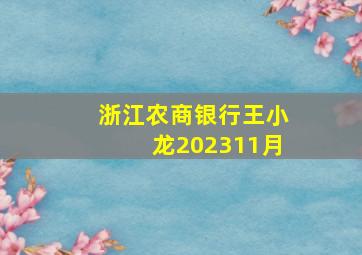 浙江农商银行王小龙202311月