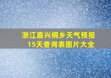 浙江嘉兴桐乡天气预报15天查询表图片大全