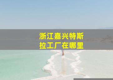 浙江嘉兴特斯拉工厂在哪里