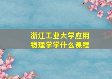 浙江工业大学应用物理学学什么课程