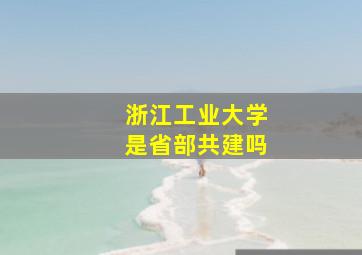 浙江工业大学是省部共建吗