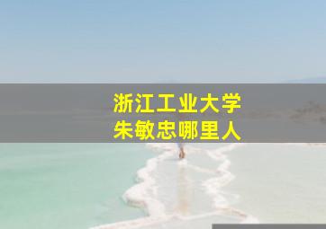 浙江工业大学朱敏忠哪里人