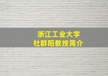 浙江工业大学杜群阳教授简介