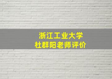 浙江工业大学杜群阳老师评价