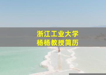 浙江工业大学杨杨教授简历