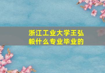 浙江工业大学王弘毅什么专业毕业的