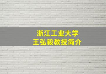 浙江工业大学王弘毅教授简介