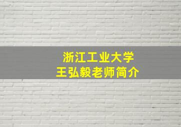 浙江工业大学王弘毅老师简介