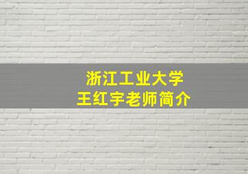 浙江工业大学王红宇老师简介