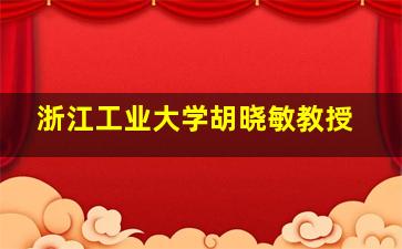 浙江工业大学胡晓敏教授