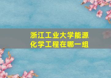 浙江工业大学能源化学工程在哪一组