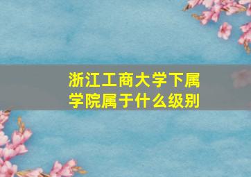 浙江工商大学下属学院属于什么级别