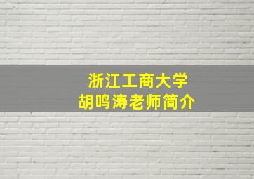 浙江工商大学胡鸣涛老师简介