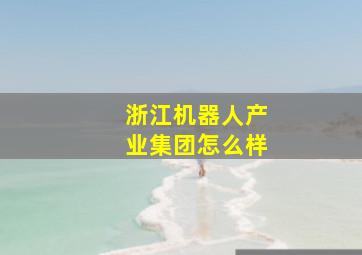 浙江机器人产业集团怎么样