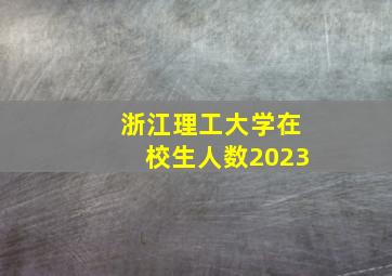 浙江理工大学在校生人数2023