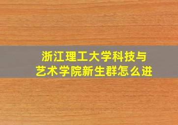 浙江理工大学科技与艺术学院新生群怎么进