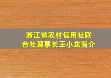 浙江省农村信用社联合社理事长王小龙简介