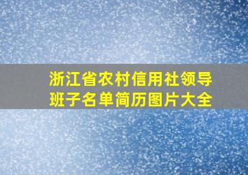 浙江省农村信用社领导班子名单简历图片大全