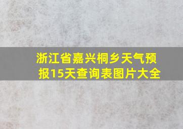 浙江省嘉兴桐乡天气预报15天查询表图片大全