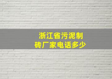 浙江省污泥制砖厂家电话多少