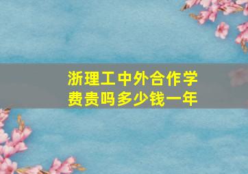 浙理工中外合作学费贵吗多少钱一年