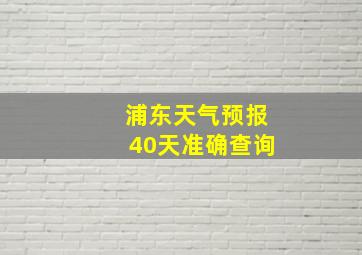 浦东天气预报40天准确查询