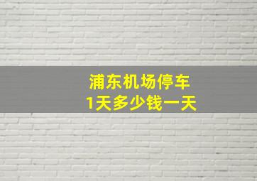 浦东机场停车1天多少钱一天