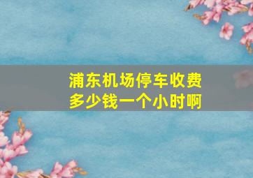 浦东机场停车收费多少钱一个小时啊