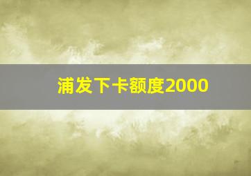 浦发下卡额度2000