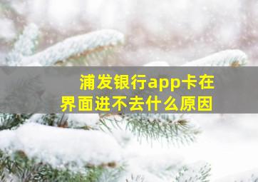 浦发银行app卡在界面进不去什么原因