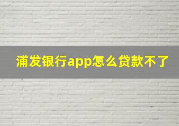 浦发银行app怎么贷款不了