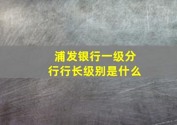 浦发银行一级分行行长级别是什么